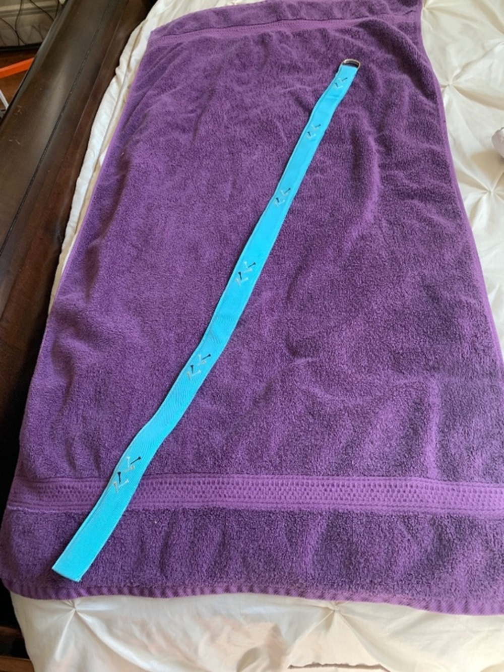 Eliza B Blue Fabric Golf Belt sz M